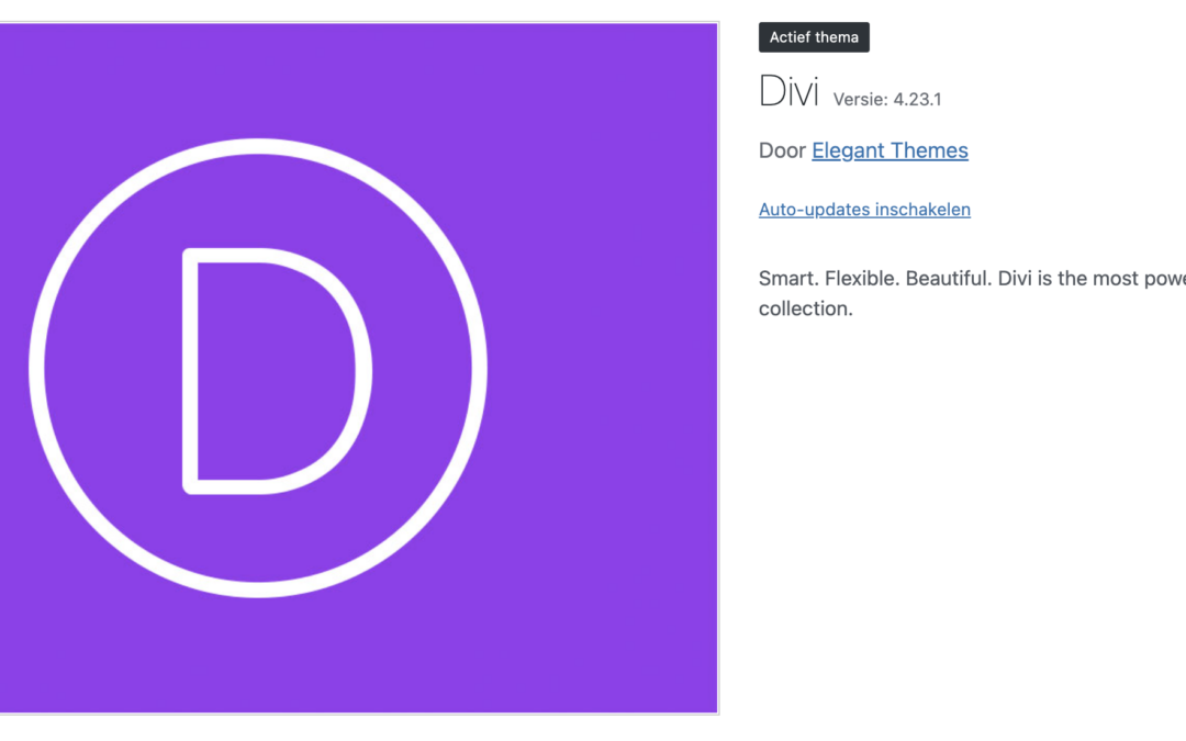 Hoe kan ik Divi installeren in mijn WordPress website